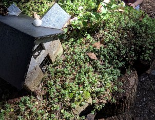 IMG_20180916_144735 cropped