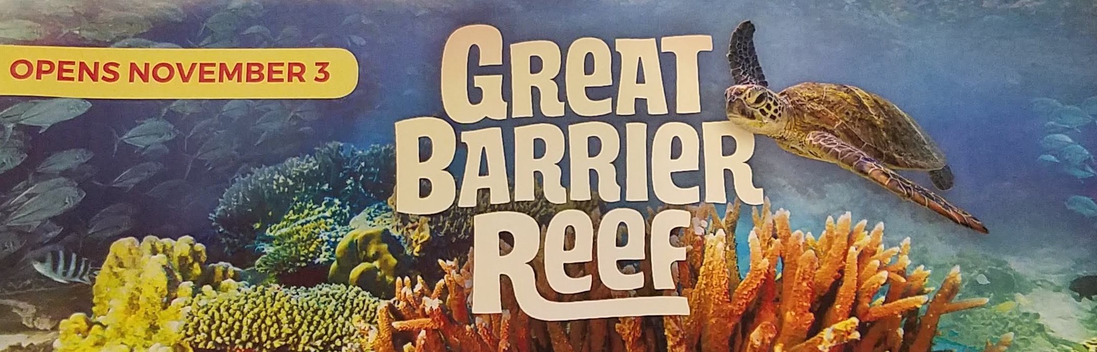 GLSC Great Barrier Reef Movie Proves to be Turtle-tastic!!