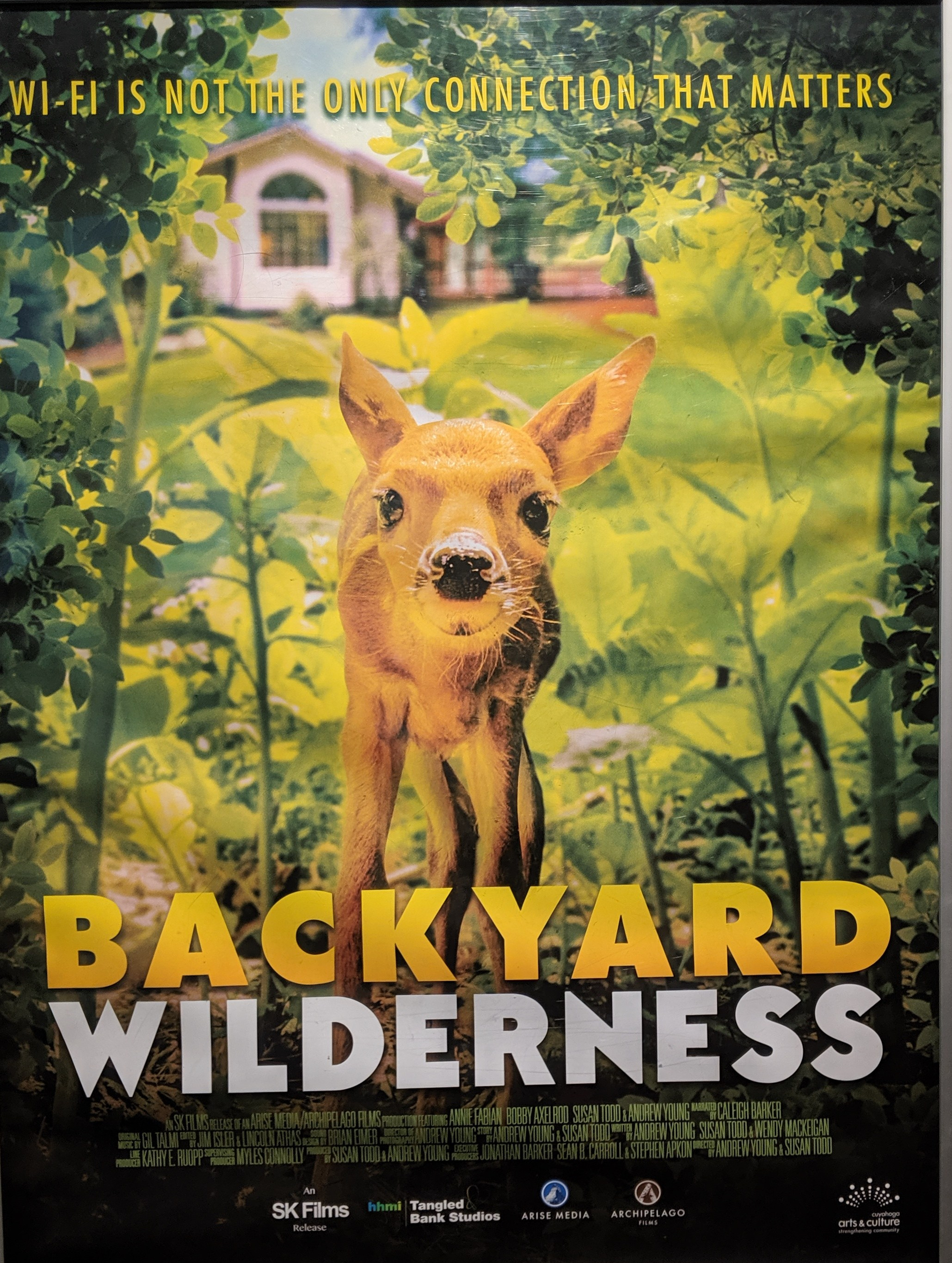 Backyard Wilderness at the Great Lakes Science Center Helps Us See What We Are All Missing