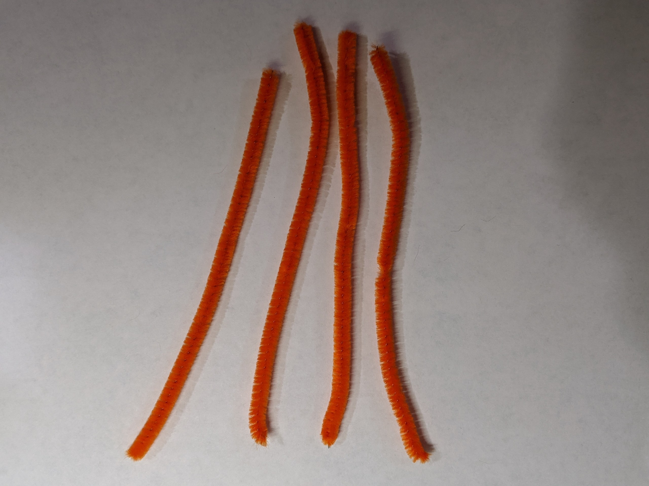 00000img_00000_burst20191030215645012_cover