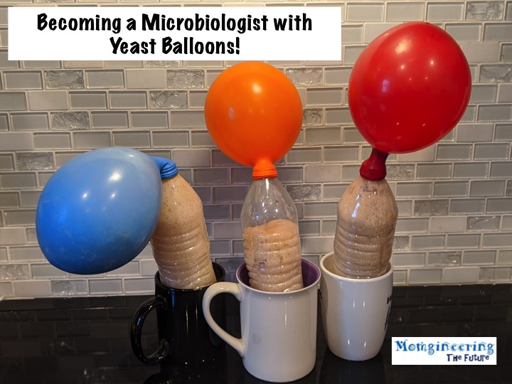 Becoming a Microbiologist with Yeast Balloons!
