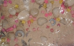 00000IMG_00000_BURST20200420141212274_COVER