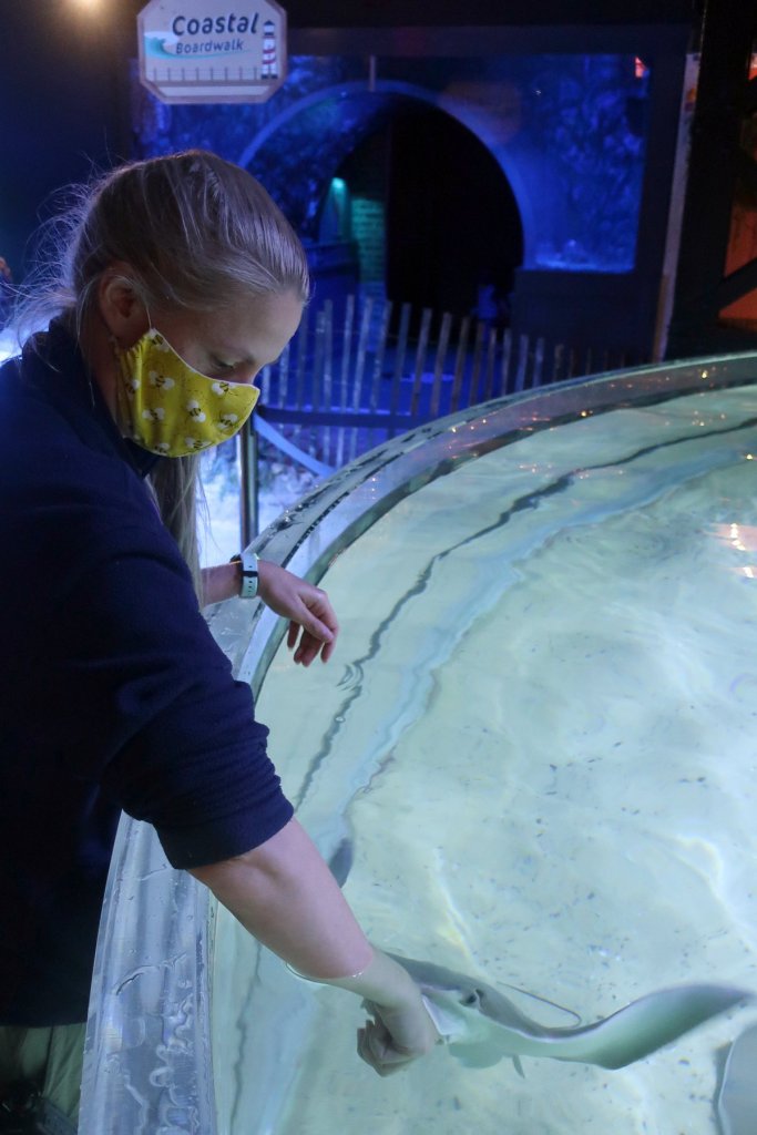 Laura B feeding a stingray. Photo credit: Greater Cleveland Aquarium