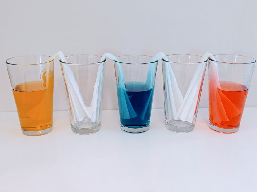 Walking water rainbow experiment setup