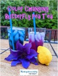 Color Changing Butterfly Pea Tea – Momgineering the Future