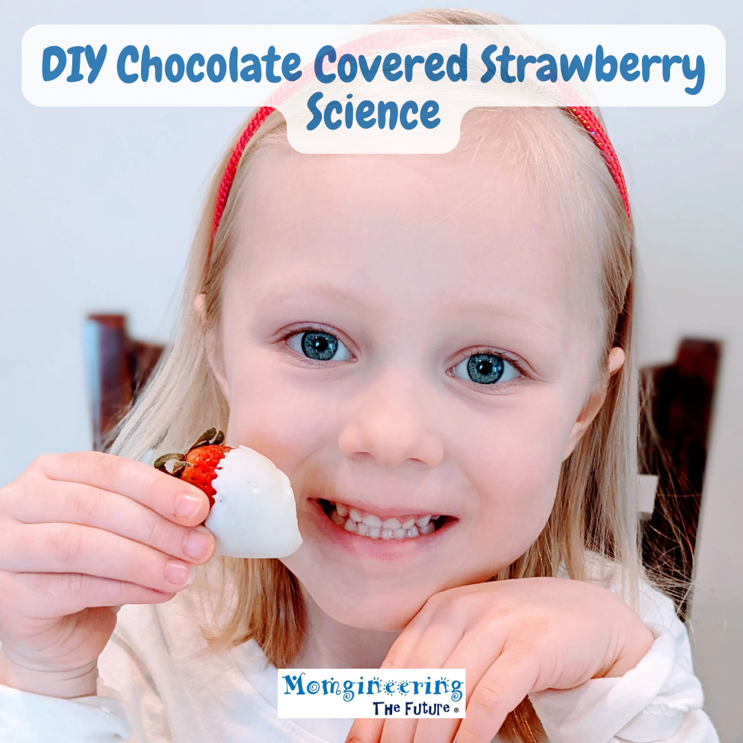 Chocolate Covered Strawberry Science Feature Image